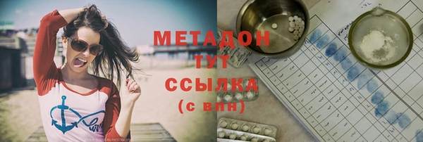 сатива Инта