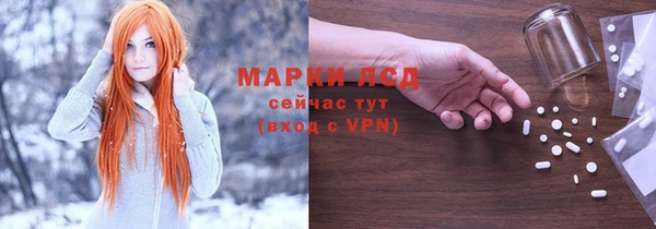 сатива Инта