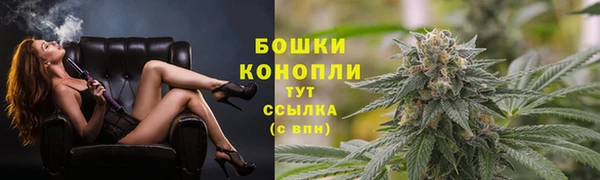 сатива Инта