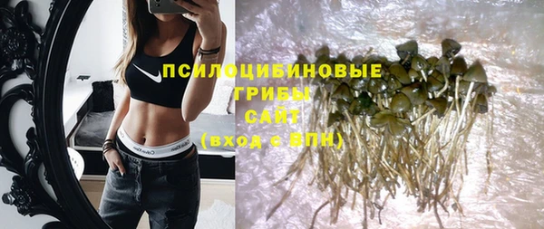 стафф Инсар