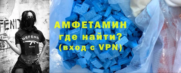 сатива Инта
