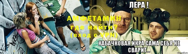 сатива Инта