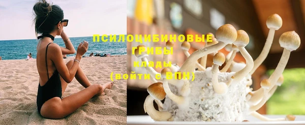 сатива Инта